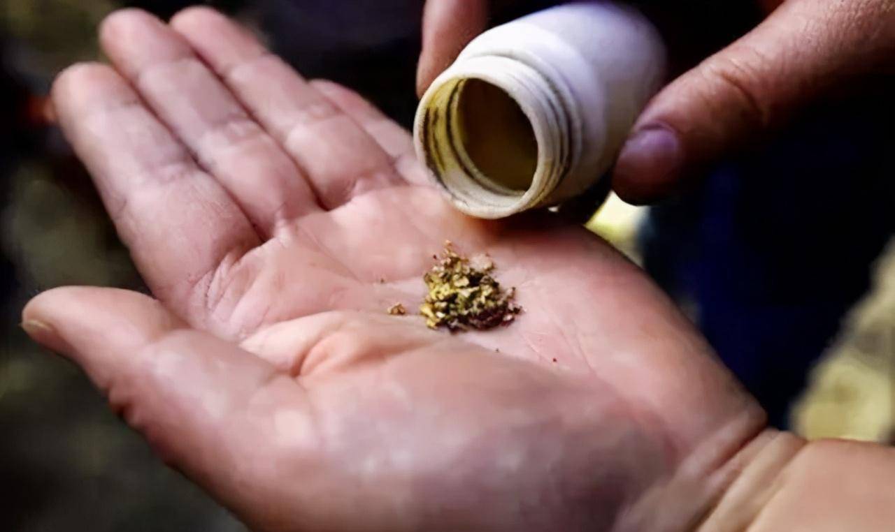 直击蒙古的“忍者淘金工”:牧民化身盗金贼<strong></p>
<p>挖金虚拟币</strong>,草地里挖孔淘出黄金