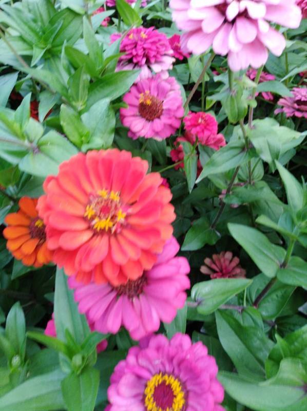 国家最虚拟币够应杆板额调交易所最近政策是什么