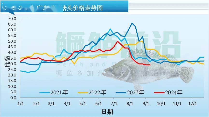 市场变难跌价<strong></p>
<p>虚拟币都跌</strong>！最高跌12元/斤！鳜鱼加州鲈、泥鳅小龙虾...都跌