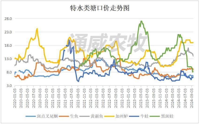 市场变难跌价<strong></p>
<p>虚拟币都跌</strong>！最高跌12元/斤！鳜鱼加州鲈、泥鳅小龙虾...都跌