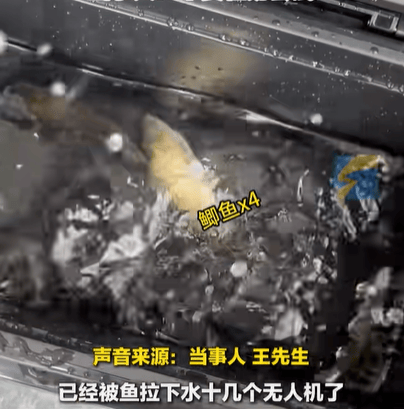 男子在家操控无人机钓鱼<strong></p>
<p>虚拟币通缉</strong>，当天就钓上十几条，当事人：不要轻易尝试，已被鱼拉下水十几个无人机