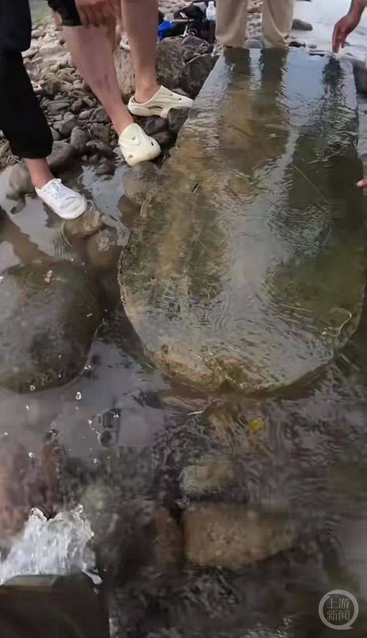 “当时就无心钓鱼了<strong></p>
<p>虚拟币CG</strong>！”河南钓友在洛阳附近“钓”到古碑？文保部门回应