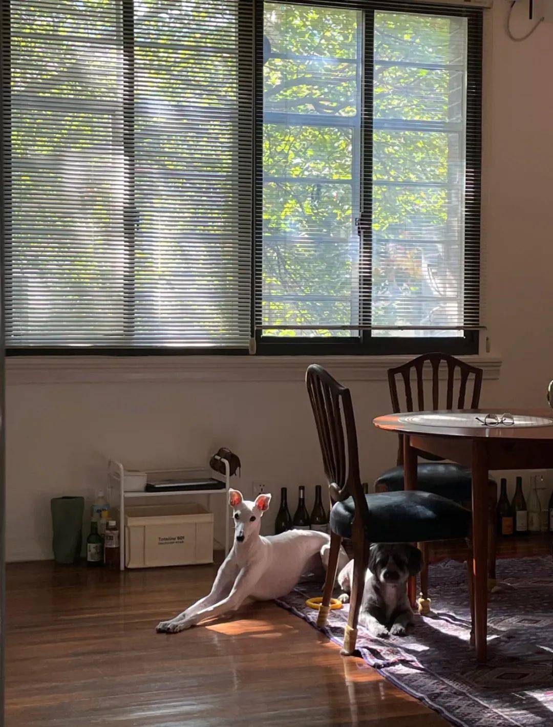 辞职、出国、卖掉老洋房<strong></p>
<p>虚拟币跨期</strong>，一个上海精英决定换种生活