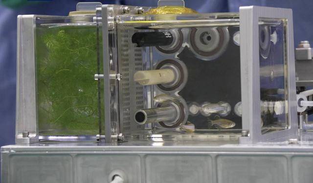 安全回家<strong></p>
<p>学时虚拟币</strong>!神十八乘组“太空出差”半年都干了些啥?