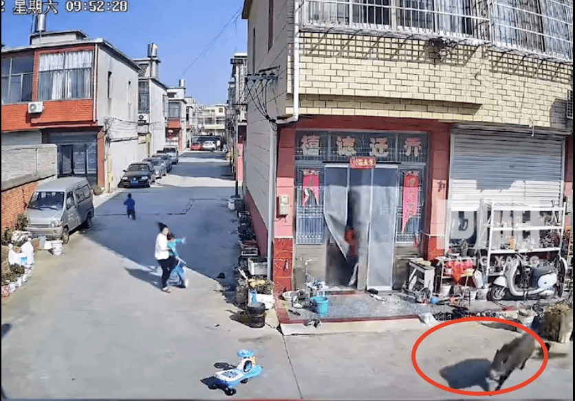 街头横冲直闯<strong></p>
<p>学时虚拟币</strong>，抱娃女子被撞伤，警方：已被特警击毙