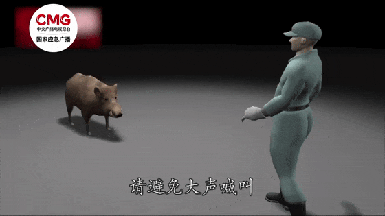 街头横冲直闯<strong></p>
<p>学时虚拟币</strong>，抱娃女子被撞伤，警方：已被特警击毙