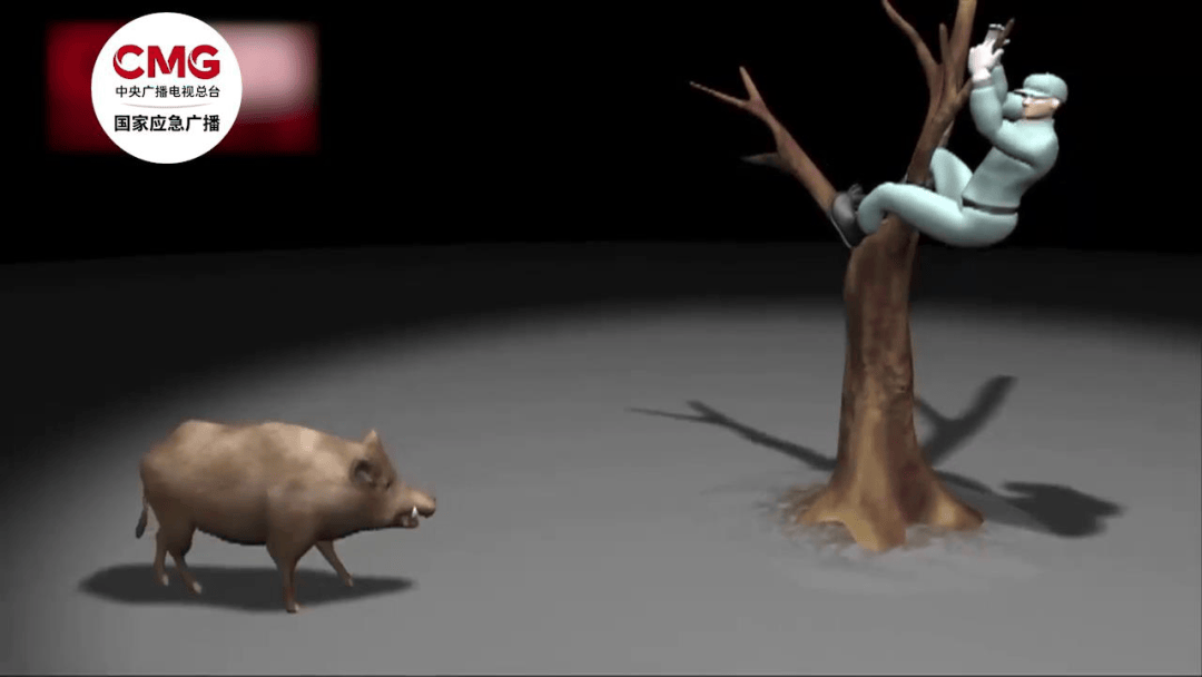 街头横冲直闯<strong></p>
<p>学时虚拟币</strong>，抱娃女子被撞伤，警方：已被特警击毙