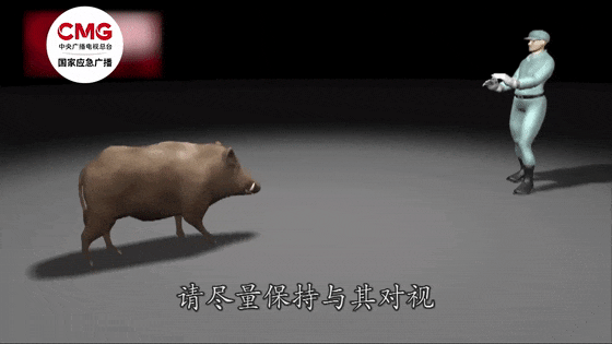 街头横冲直闯<strong></p>
<p>学时虚拟币</strong>，抱娃女子被撞伤，警方：已被特警击毙