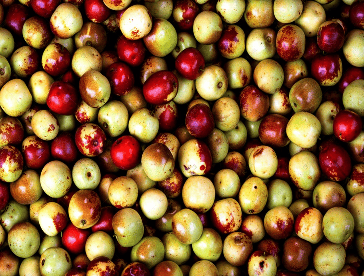 “含糖量”极高<strong></p>
<p>市场虚拟币</strong>！解锁“北方水果公园”山西万荣的甜蜜