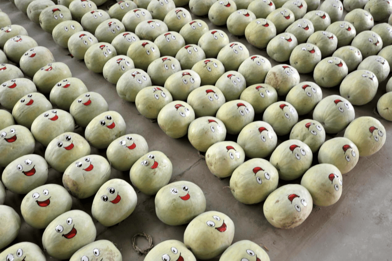 “含糖量”极高<strong></p>
<p>市场虚拟币</strong>！解锁“北方水果公园”山西万荣的甜蜜