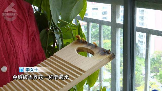 “可以蒸蛋”！昆明一女子家中搓衣板上长菌<strong></p>
<p>沉迷虚拟币</strong>，品种竟是……