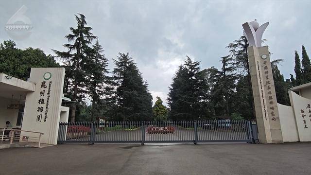 “可以蒸蛋”！昆明一女子家中搓衣板上长菌<strong></p>
<p>沉迷虚拟币</strong>，品种竟是……