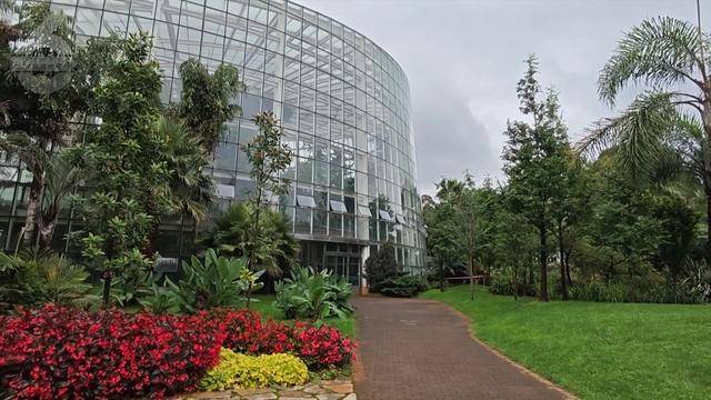 “可以蒸蛋”！昆明一女子家中搓衣板上长菌<strong></p>
<p>沉迷虚拟币</strong>，品种竟是……