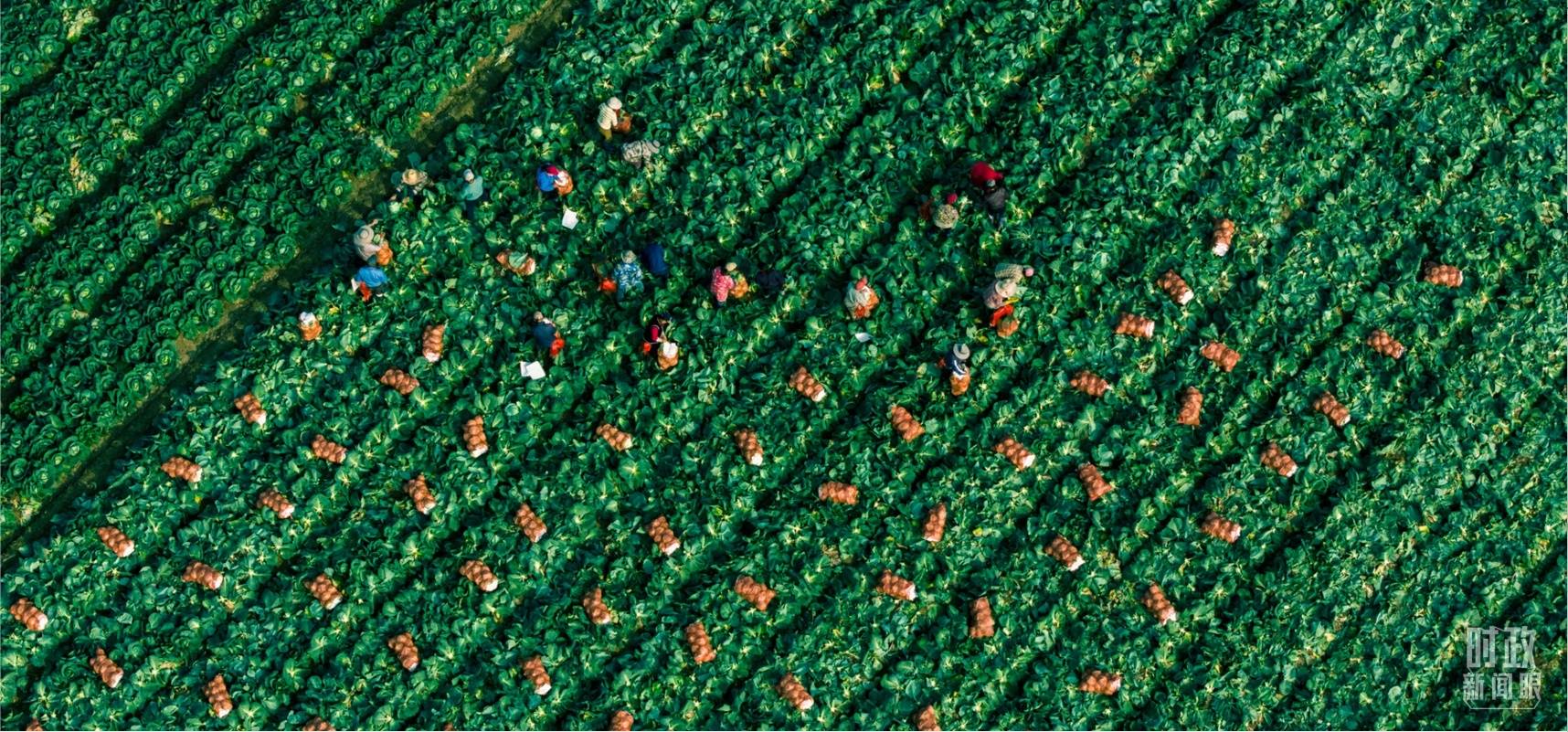 时政新闻眼丨从三个维度看习近平湖北之行强调<strong></p>
<p>松原虚拟币</strong>了什么