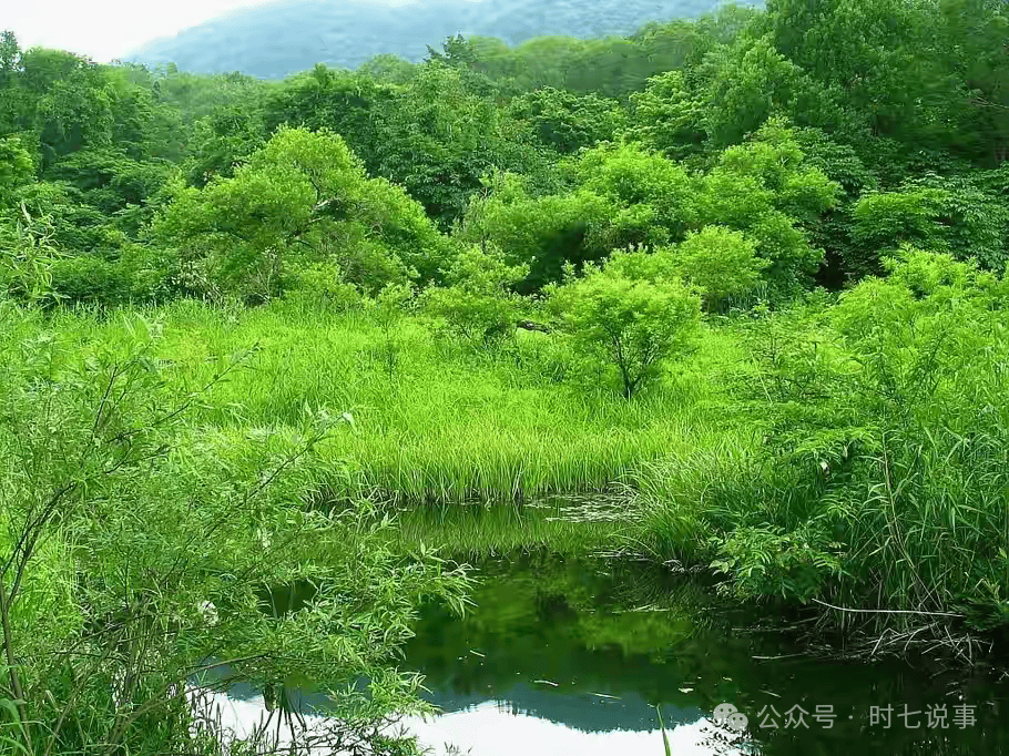 广东珠海驾车撞人事件：35人死亡<strong></p>
<p>虚拟币N7</strong>，43人受伤！