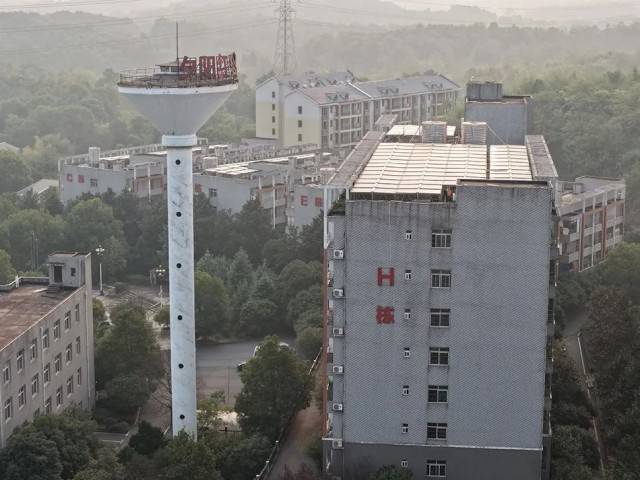 夕阳红公寓爆雷:一场疯狂的庞氏骗局走向崩塌