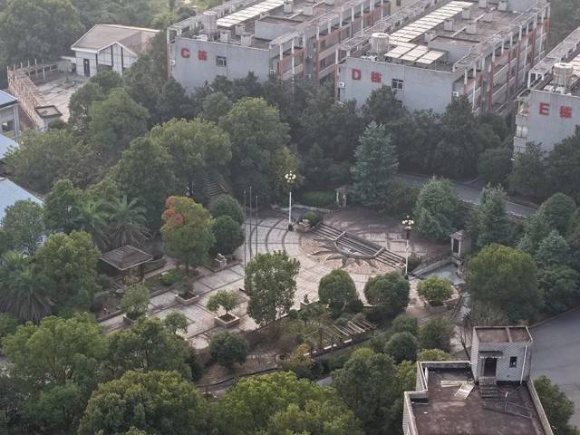 夕阳红公寓爆雷:一场疯狂的庞氏骗局走向崩塌