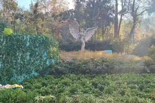 李玟武汉墓地杂草丛生<strong></p>
<p>交城虚拟币</strong>?其姐姐发文回应