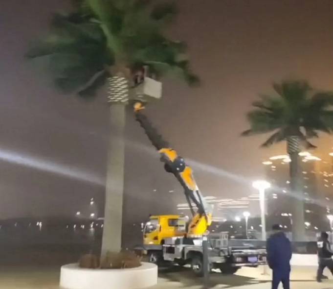 违规花千万装修县政府大楼<strong></p>
<p>交城虚拟币</strong>，仿真椰子树成了“背锅侠”