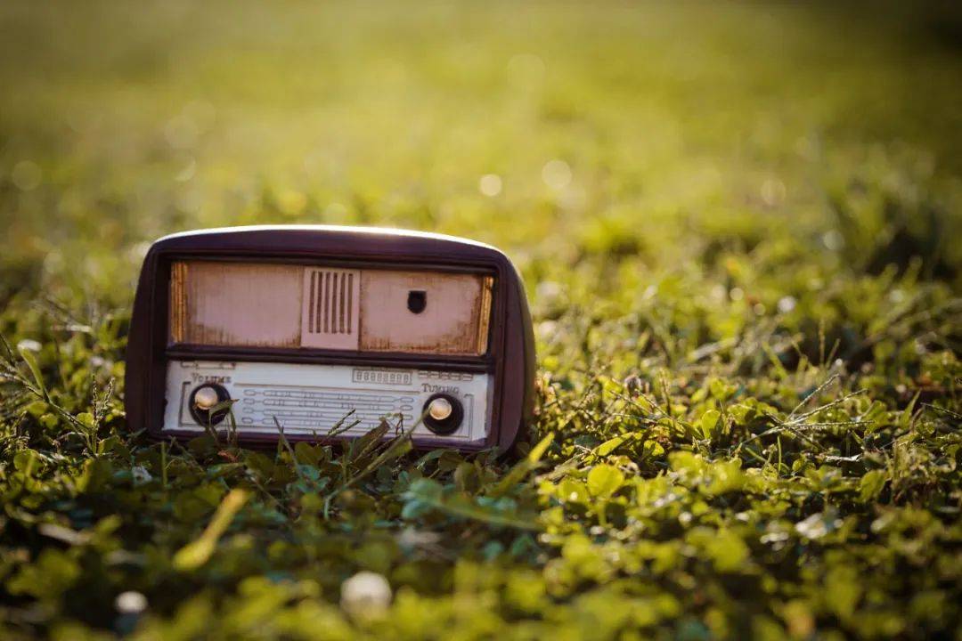 A股<strong></p>
<p>盐城虚拟币</strong>，长期利好！