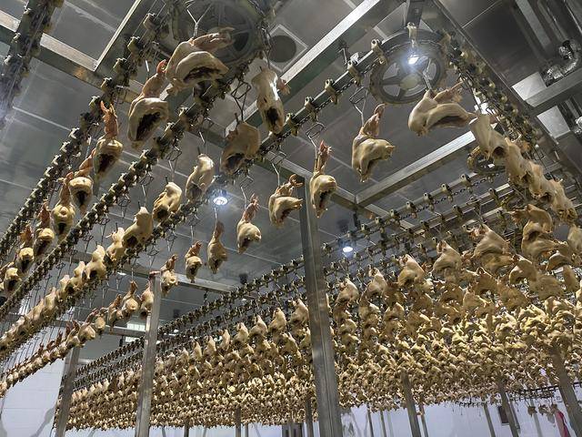 “没有一只鸡能活着飞出滑县”<strong></p>
<p>盐城虚拟币</strong>，道口烧鸡开启新纪元