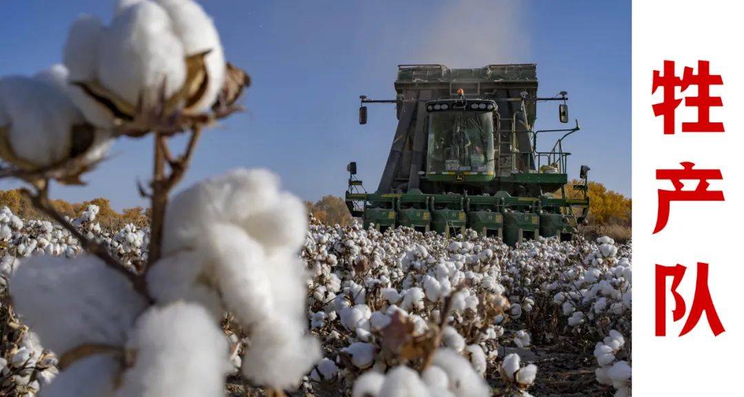 为什么西方媒体要针对“新疆棉”<strong></p>
<p>虚拟币建群</strong>？