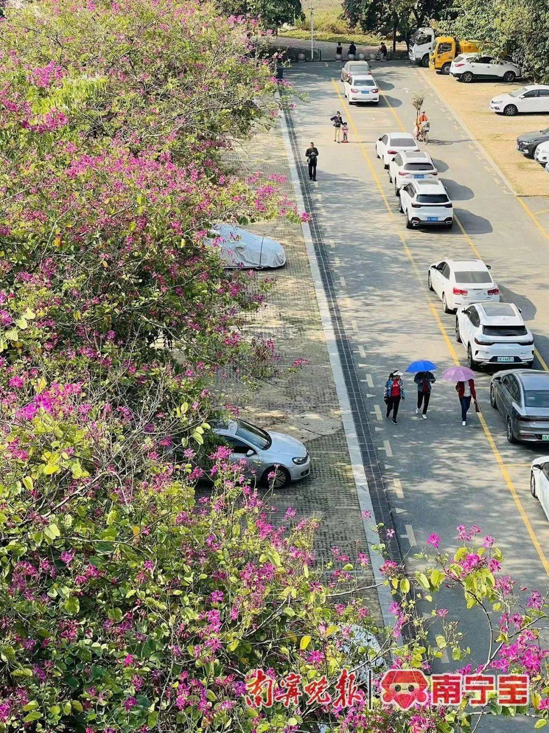 广西将开启“冻人”模式<strong></p>
<p>虚拟币会</strong>！最冷出现在这一天→