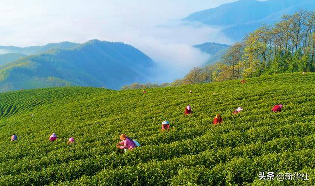 瞭望·治国理政纪事｜“<strong></p>
<p>虚拟币返佣</strong>我也是个老基层”