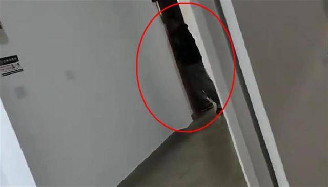 上海一高校男生晚上撞开女生寝室门<strong></p>
<p>虚拟币马克</strong>，校方：醉酒后走错了