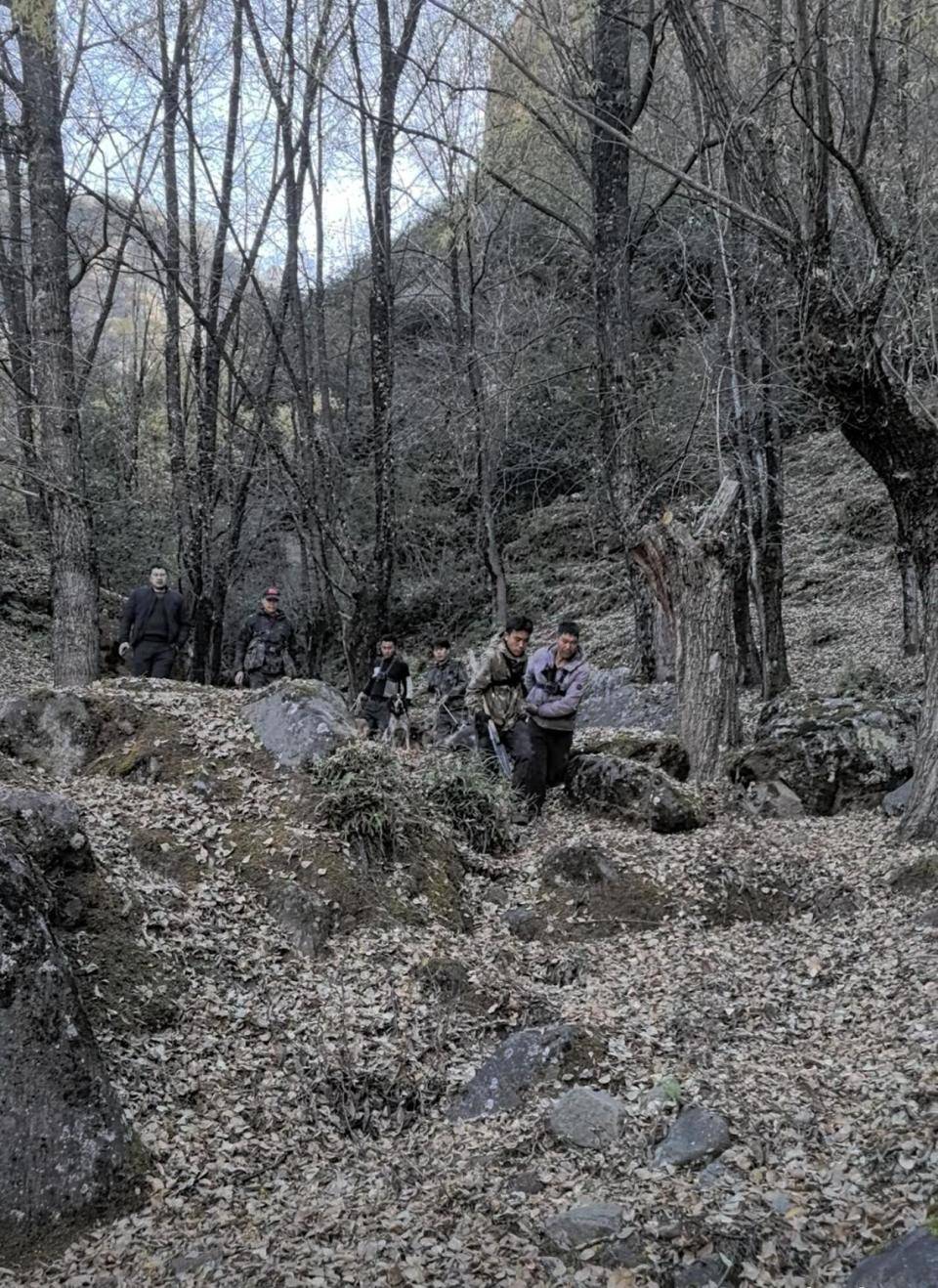 揭秘“野猪猎捕队”丨海拔3000米高山密林<strong></p>
<p>虚拟牛莱币</strong>,记者跟队直击猎捕野猪全过程