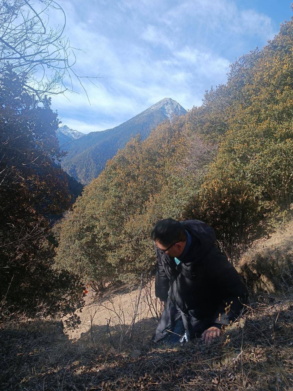 揭秘“野猪猎捕队”丨海拔3000米高山密林<strong></p>
<p>虚拟牛莱币</strong>,记者跟队直击猎捕野猪全过程