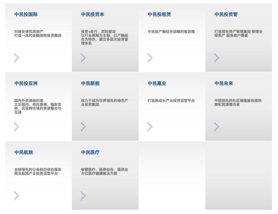 中民投及其法人被发限消令
