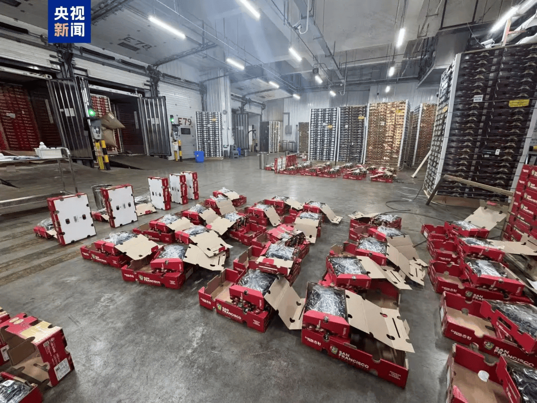 大跳水<strong></p>
<p>虚拟牛莱币</strong>！“断崖式”降价！网友：等不及了