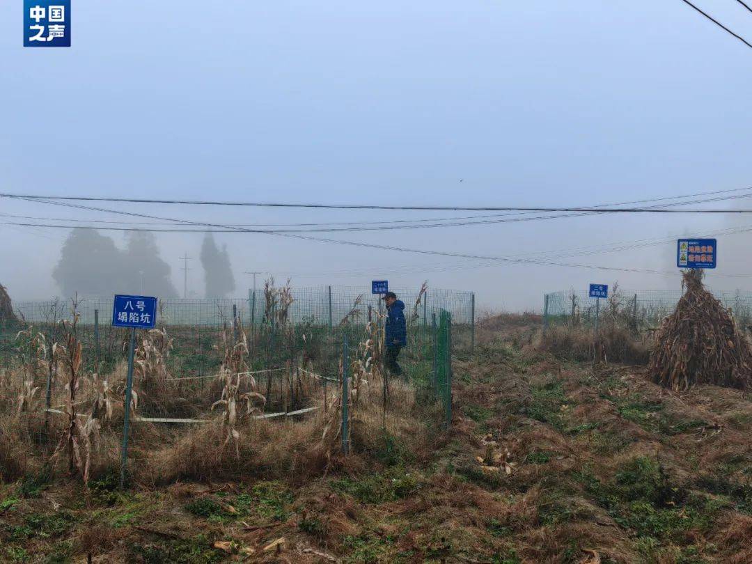 贵州一地发生30多处地面塌陷<strong></p>
<p>虚拟牛莱币</strong>！咋回事？
