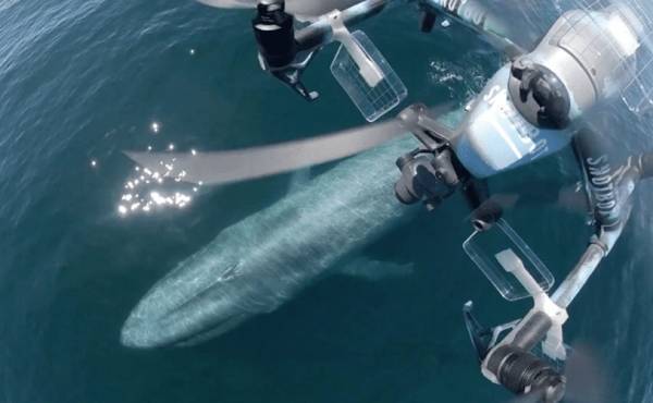 美国科学家震惊:封杀中国无人机<strong></p>
<p>美国交易所虚拟币</strong>,“简直是疯了!”