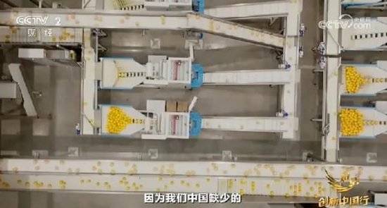 2024年末央视再度专访钟睒睒<strong></p>
<p>三体虚拟币</strong>，背后有何深意？