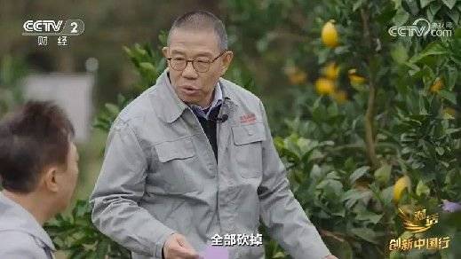 2024年末央视再度专访钟睒睒<strong></p>
<p>三体虚拟币</strong>，背后有何深意？