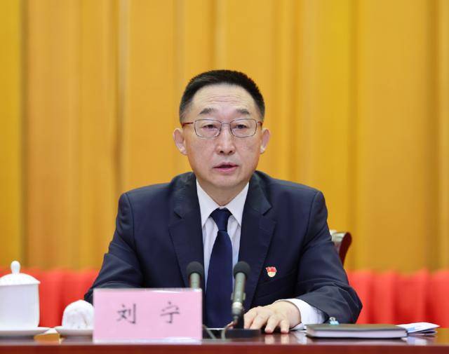 刘宁任河南省委书记<strong></p>
<p>替买虚拟币</strong>，楼阳生因年龄原因不再担任