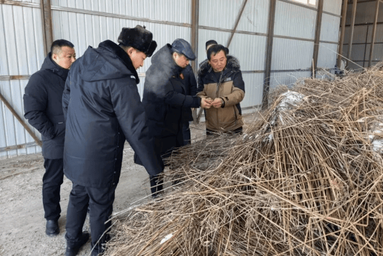 黑龙江省黑河市副市长、市公安局局长徐景波同志深入春清村开展走访慰问工作