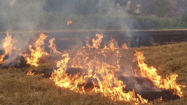 唐山各乡镇、村落一律禁止<strong></p>
<p>虚拟币牛人</strong>！多名村民被罚