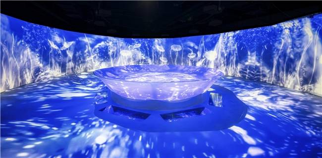 故宫博物院携手苏州湾数字艺术馆<strong></p>
<p>虚拟币牛人</strong>，共启“‘纹’以载道——故宫沉浸式数字体验展”