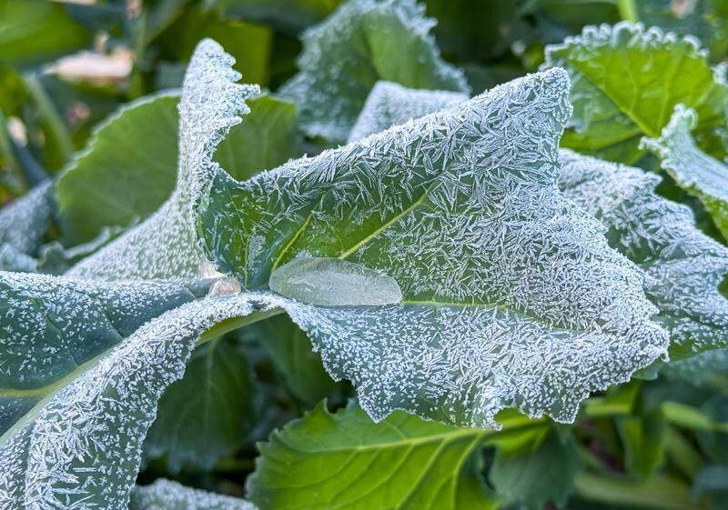 新一股冷空气14日夜间起影响广东<strong></p>
<p>虚拟币cz</strong>，局地气温或再度“破0”伴冰霜冻