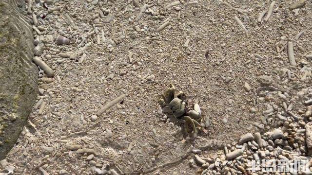 青岛女子买下70万平米小岛后续来了：目前没打算私有<strong></p>
<p>虚拟币口子</strong>，七八月份将带员工到岛上团建