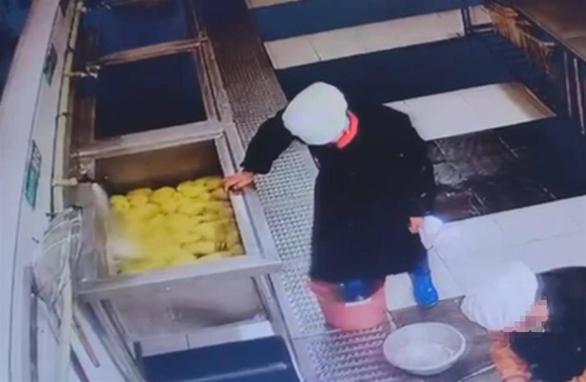 食堂人员用脚踩食材<strong></p>
<p>虚拟币口子</strong>，江西新余十六中校长被免职，市监局：举一反三保障食品安全