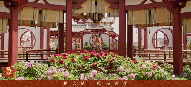 菏泽牡丹卖爆<strong></p>
<p>虚拟币口子</strong>!为花农带来泼天流量!《国色芳华》多维度绽放文旅价值