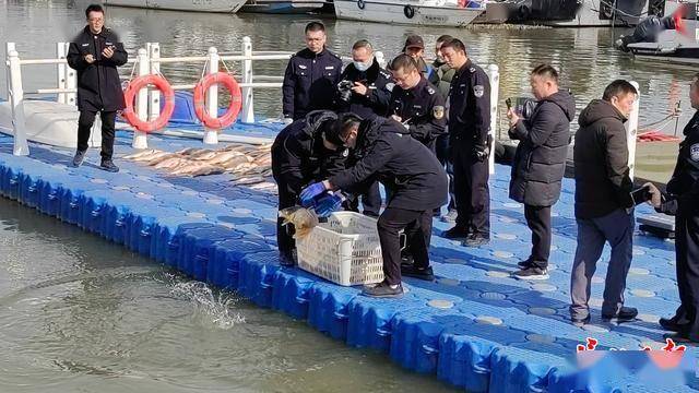 一船电走500多斤长江野生鱼<strong></p>
<p>虚拟币口子</strong>，渔政雾夜收网