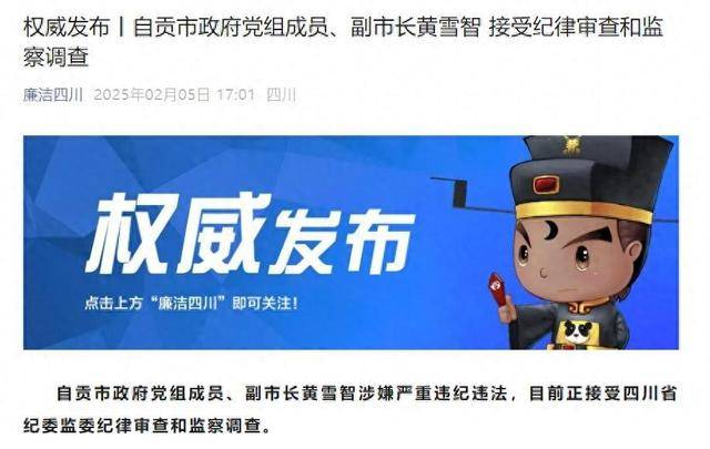 涉嫌严重违纪违法<strong></p>
<p>虚拟币划转</strong>，四川省自贡市政府党组成员、副市长黄雪智接受审查调查