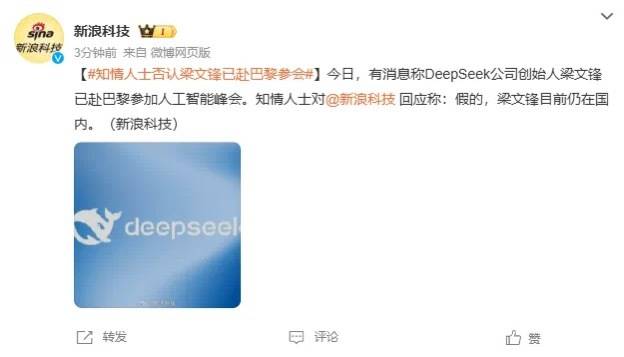 DeepSeek梁文锋用黑科技远程参加巴黎AI峰会?假的<strong></p>
<p>大型虚拟币</strong>!