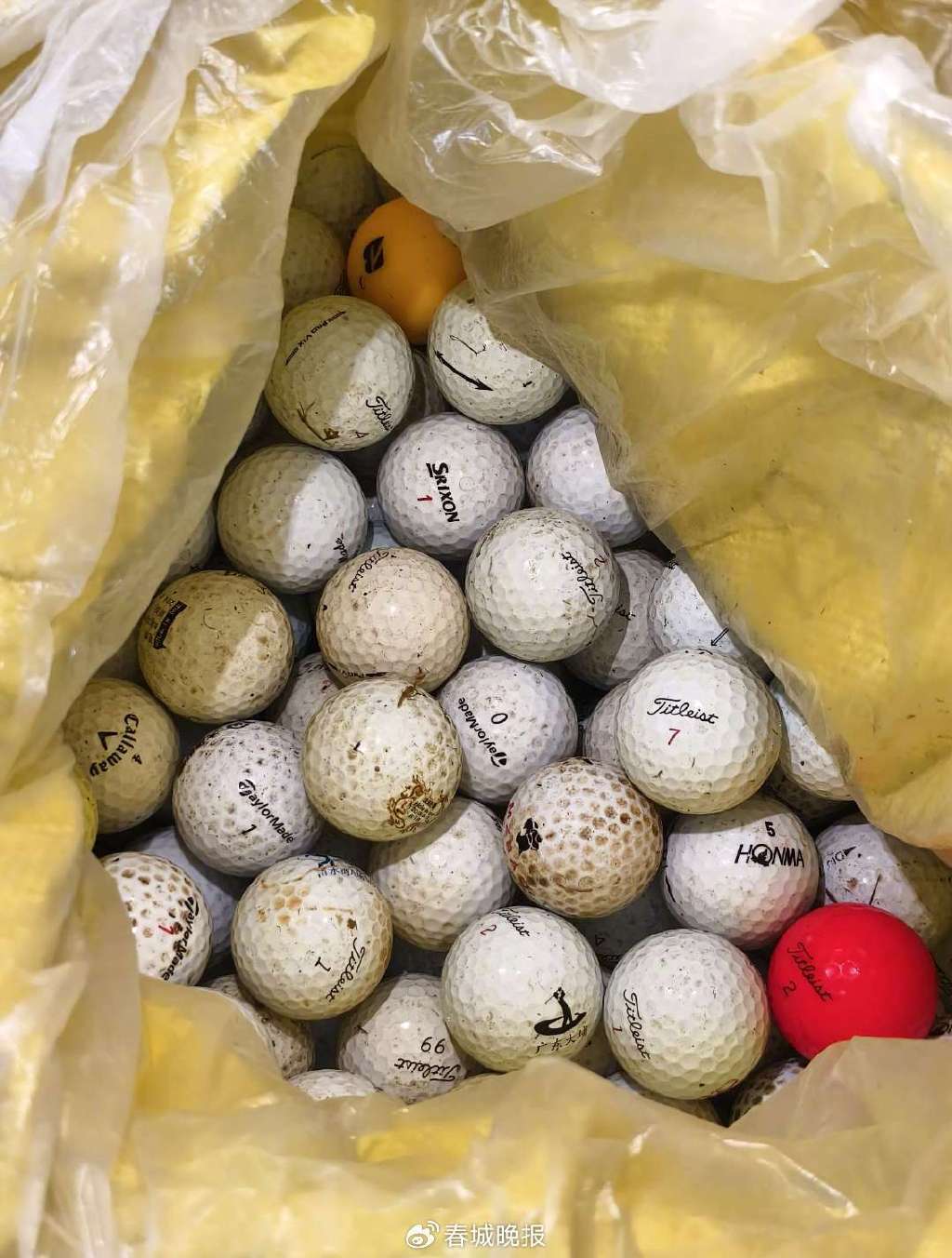 3人穿潜水服偷捞高尔夫球<strong></p>
<p>虚拟币昵称</strong>，警方用时4小时人赃并获