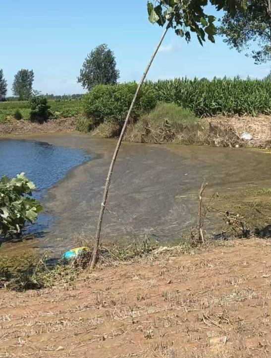 “女生遭侵犯落水被阻挡上岸至溺亡”案续:检方提起抗诉<strong></p>
<p>虚拟分币</strong>,建议死刑